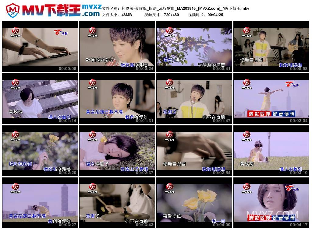 柯以敏-黄玫瑰_国语_流行歌曲_MA203916